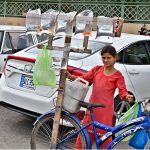 A young girl displays colorful fish to attract customers while selling outside the Sunday Bazaar at Peshawar Morr, in the Federal Capital