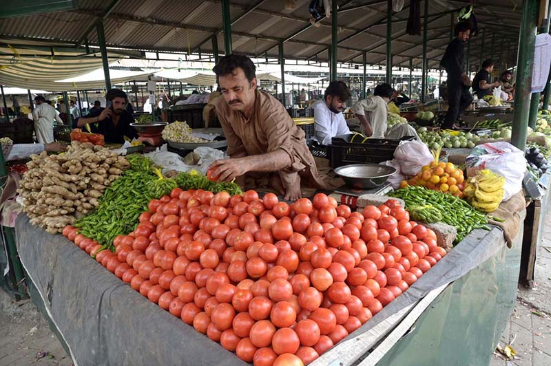 Vendors are arranging and displaying vegetables on their stalls to attract the customers at weekly Sunday Bazaar, Peshawar Morr in the Federal Capital