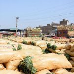 A large quantity of fresh leafy vegetables packed in sacks unloading at Vegetable market