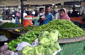 Vendors are arranging and displaying vegetables on their stalls to attract the customers at weekly Sunday Bazaar, Peshawar Morr in the Federal Capital