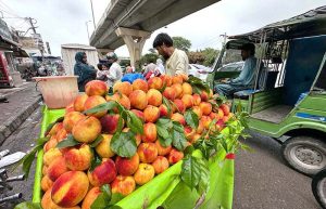A vendor displays fresh peaches on his handcart while waiting for customers at a roadside market in the twin cities.
