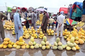 A large number of people purchase cantaloupes displayed by vendors at the Fruit and Vegetable Market in the Federal Capital.