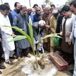 Sindh Governor Syed Nehal Hashmi plants a sapling during a tree plantation ceremony at the Governor House
