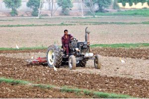 Female agricultural workers are transplanting paddy seedlings in a water-filled field during the ongoing paddy cultivation season on the city's outskirts.
