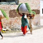 Women carrying bundles of grass on their heads after cutting them from the field at Latifabad Unit No. 4