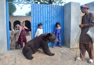 A street performer entertains children with his trained bear to earn a livelihood for his family along Moza Bharo–Jhang Road.