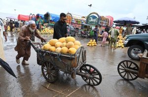 A large number of people purchase cantaloupes displayed by vendors at the Fruit and Vegetable Market in the Federal Capital.