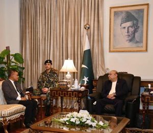 President Asif Ali Zardari in a meeting with Malaysia's Minister for Home Affairs, Datuk Seri Saifuddin Nasution bin Ismail, at Aiwan-e-Sadr