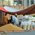 Labourers pack wheat into plastic bags from a roadside grain stockpile for sale to customers at Qasimpur Colony