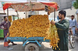 A roadside vendor displays traditional sweet treats, known as Tangri, to attract customers and earn a livelihood for his family