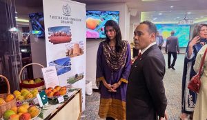 High Commissioner H.E. Rabia Shafiq and Singapore's Minister of State for Foreign Affairs Mr. Zhulkarnain Abdul Rahim visit the stall showcasing Pakistan's world-renowned mangoes, including the renowned Chaunsa and Sensation varieties, at the Mango Festival