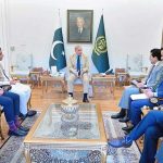 Federal Minister for Petroleum, Ali Pervaiz Malik calls on Prime Minister Muhammad Shehbaz Sharif. Federal Minister for Information Attaullah Tarar, Federal Minister for Economic Affairs Ahad Khan Cheema, Federal Minister for Climate Change Dr. Musadik Malik and MNA Hamza Shehbaz also present in the meeting