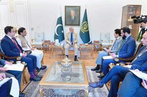 Federal Minister for Petroleum, Ali Pervaiz Malik calls on Prime Minister Muhammad Shehbaz Sharif. Federal Minister for Information Attaullah Tarar, Federal Minister for Economic Affairs Ahad Khan Cheema, Federal Minister for Climate Change Dr. Musadik Malik and MNA Hamza Shehbaz also present in the meeting