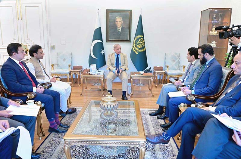 Federal Minister for Petroleum, Ali Pervaiz Malik calls on Prime Minister Muhammad Shehbaz Sharif. Federal Minister for Information Attaullah Tarar, Federal Minister for Economic Affairs Ahad Khan Cheema, Federal Minister for Climate Change Dr. Musadik Malik and MNA Hamza Shehbaz also present in the meeting