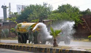 PHA Worker showering water on green belt plants at University road.