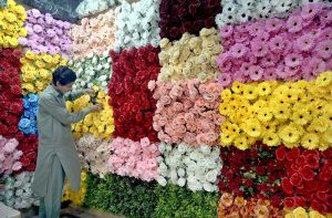 A vendor arranges a colourful variety of artificial flowers outside a shop in the Banni market a busy commercial area in the twin cities.