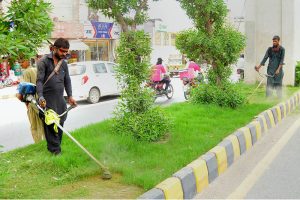 PHA workers trim grass along a road median to maintain the greenery and beautification of the city