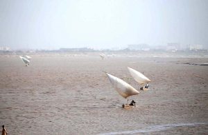 Fishermen catching the fish after water level in the Indus River is continuously rising due to the rains across the country.