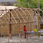 A man is constructing a makeshift shelter for his family using bamboo poles and reeds