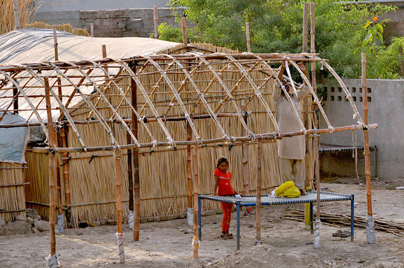 A man is constructing a makeshift shelter for his family using bamboo poles and reeds