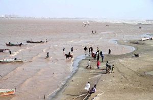 Fishermen catching the fish after water level in the Indus River is continuously rising due to the rains across the country.