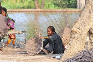 A man is constructing a makeshift shelter for his family using bamboo poles and reeds