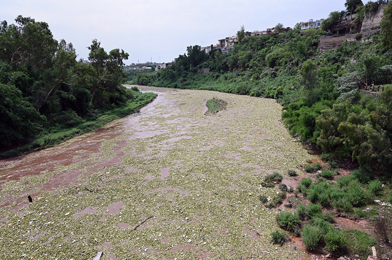 A view of Korang Nullah following heavy rainfall in the twin cities after the opening of Rawal Dam spillways, causing a significant rise in the water level