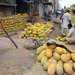 Vendor displaying fresh Seasonal fruit Garma to attract customers at fruit market