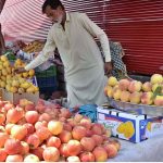 A vendor displaying seasonal fruits at weekly bazaar PWD in the Federal Capital