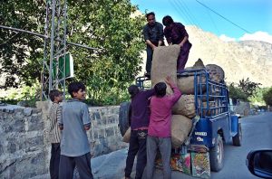 Farmers are loading the Naltar potatoes into a vehicle for transportation to the market