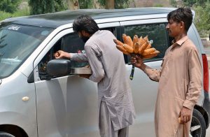 A vendor displaying and selling roasted corn cobs to attract the customers