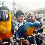 A man and his son show interest in a Brazilian macaw at the Saddar Bird Market