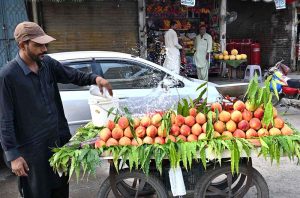 A street vendor sells fresh peaches on a handcart at roadside