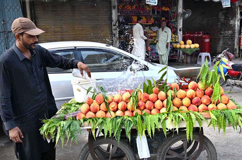 A street vendor sells fresh peaches on a handcart at roadside