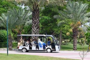 Families enjoy a holiday outing at Race Course Park during pleasant weather in the city