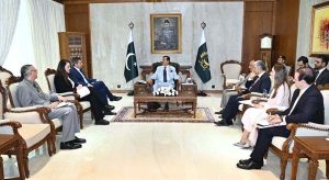 Acting President Syed Yousuf Raza Gilani in a meeting with the Ambassador of Italy Ugo Ciarlatani at Aiwan-e-Sadr.