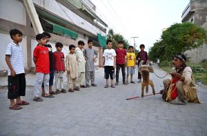 Children enjoy a traditional monkey show at Canal Park.