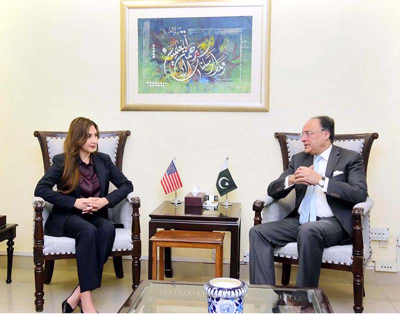 Federal Minister for Finance and Revenue, Senator Muhammad Aurangzeb, meeting with U.S. Chargé d’Affaires H.E. Ms. Natalie Baker at the Finance Division to discuss Pakistan–U.S. economic cooperation and investment