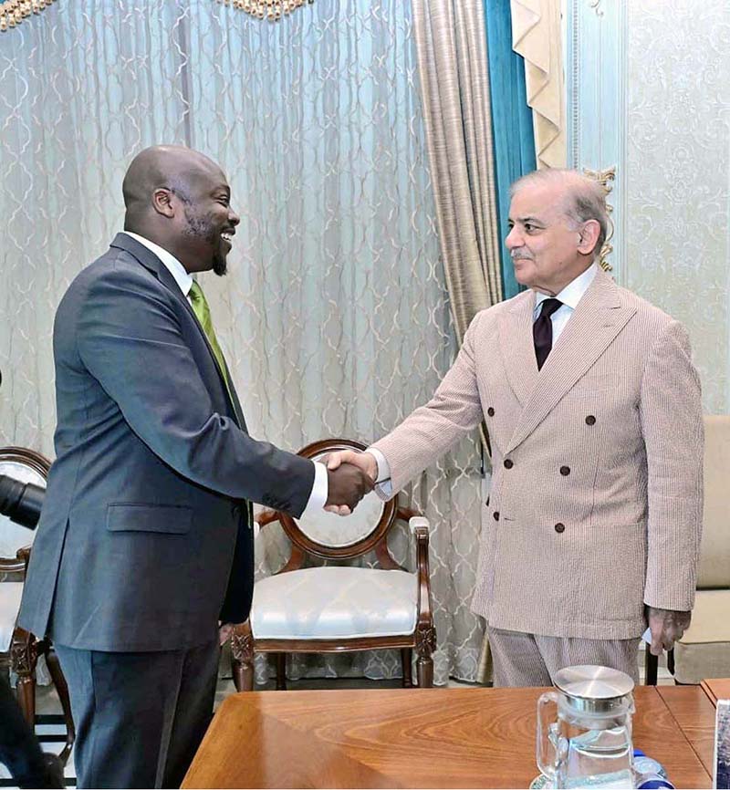 Prime Minister Muhammad Shehbaz Sharif shakes hand with Vice President Government Affairs and Public Policy of Google Mr. Wilson White