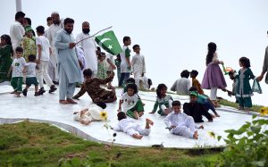 National flag displayed on a vehicle as the citizens mark the 79th Independence Day celebrations, observed across the country with traditional zeal and fervor