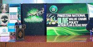 Prime Minister Muhammad Shehbaz Sharif addresses a ceremony to launch Pakistan National Olive Value Chain Policy to harness the true potential of olive cultivation and processing.