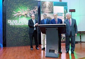 Prime Minister Muhammad Shehbaz Sharif launches Pakistan National Olive Value Chain Policy to harness the true potential of olive cultivation and processing.