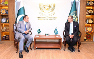 Pakistan, Indonesia explore new avenues for bilateral trade