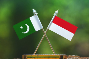 Pakistan, Indonesia explore new avenues for bilateral trade