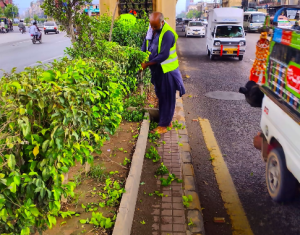 PHA intensifies beautification work along Murree Road