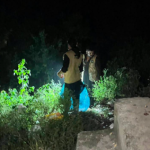 Saidpur Village lion alert