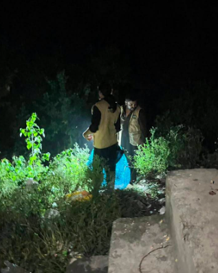 Saidpur Village lion alert