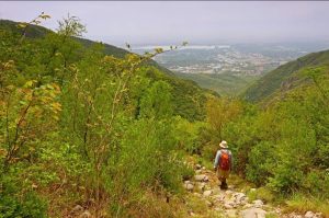 Beyond the litter bag: how one volunteer is helping shape future of Pakistan's urban conservation