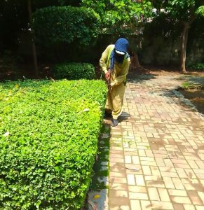 PHA takes special measures to beautify Hilal Park, Nursery in Al-Furqan Sector