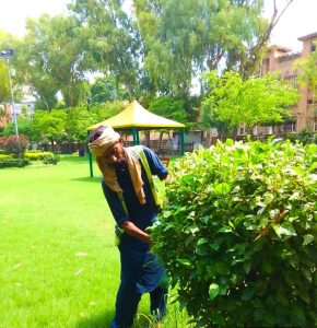 PHA takes special measures to beautify Hilal Park, Nursery in Al-Furqan Sector